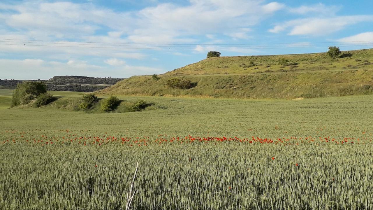 El Pajar De Cigunuela Villa Valladolid Eksteriør billede